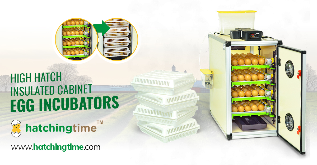 Shop Hatching Time Incubators