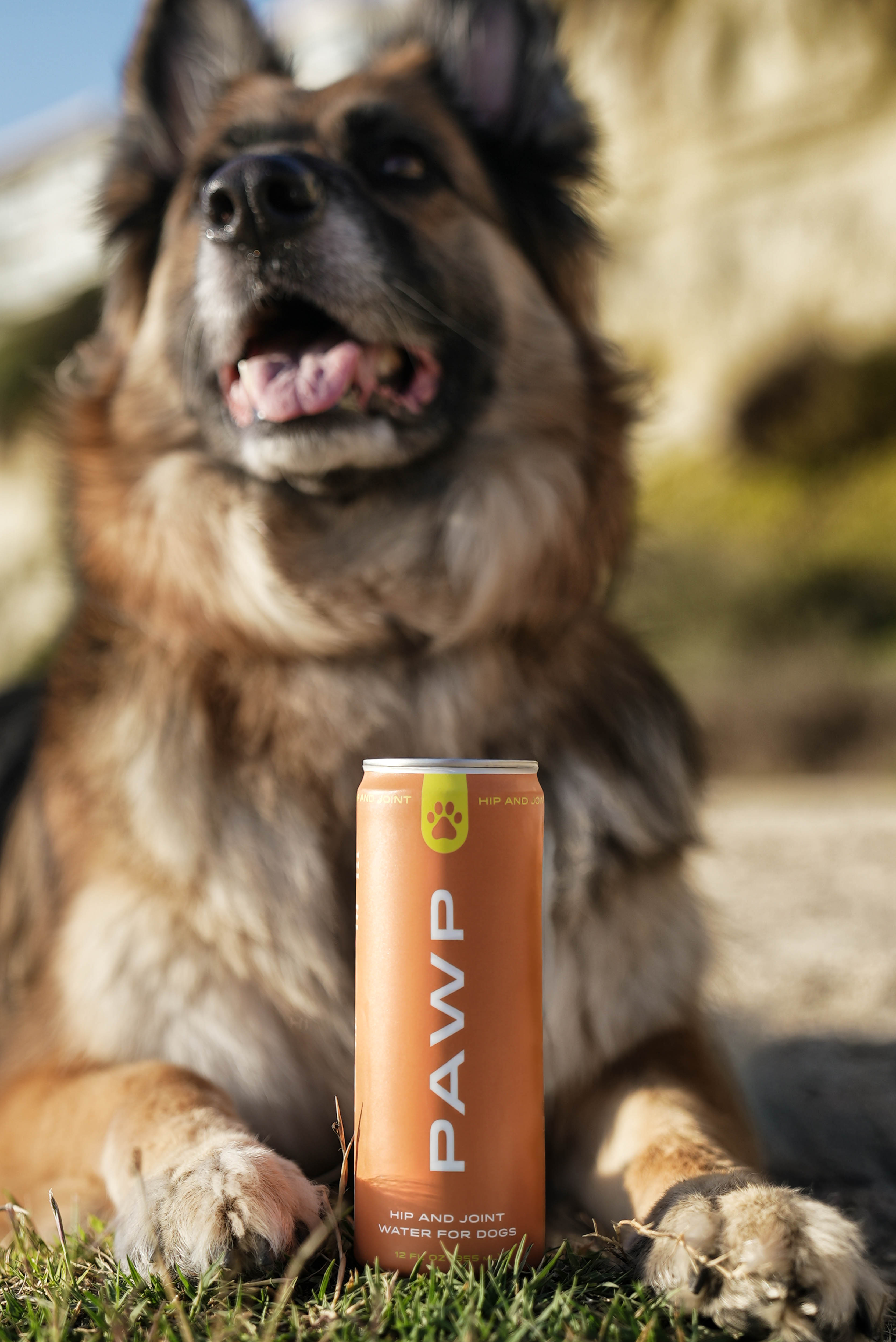 Pawp Water Hip and Joint