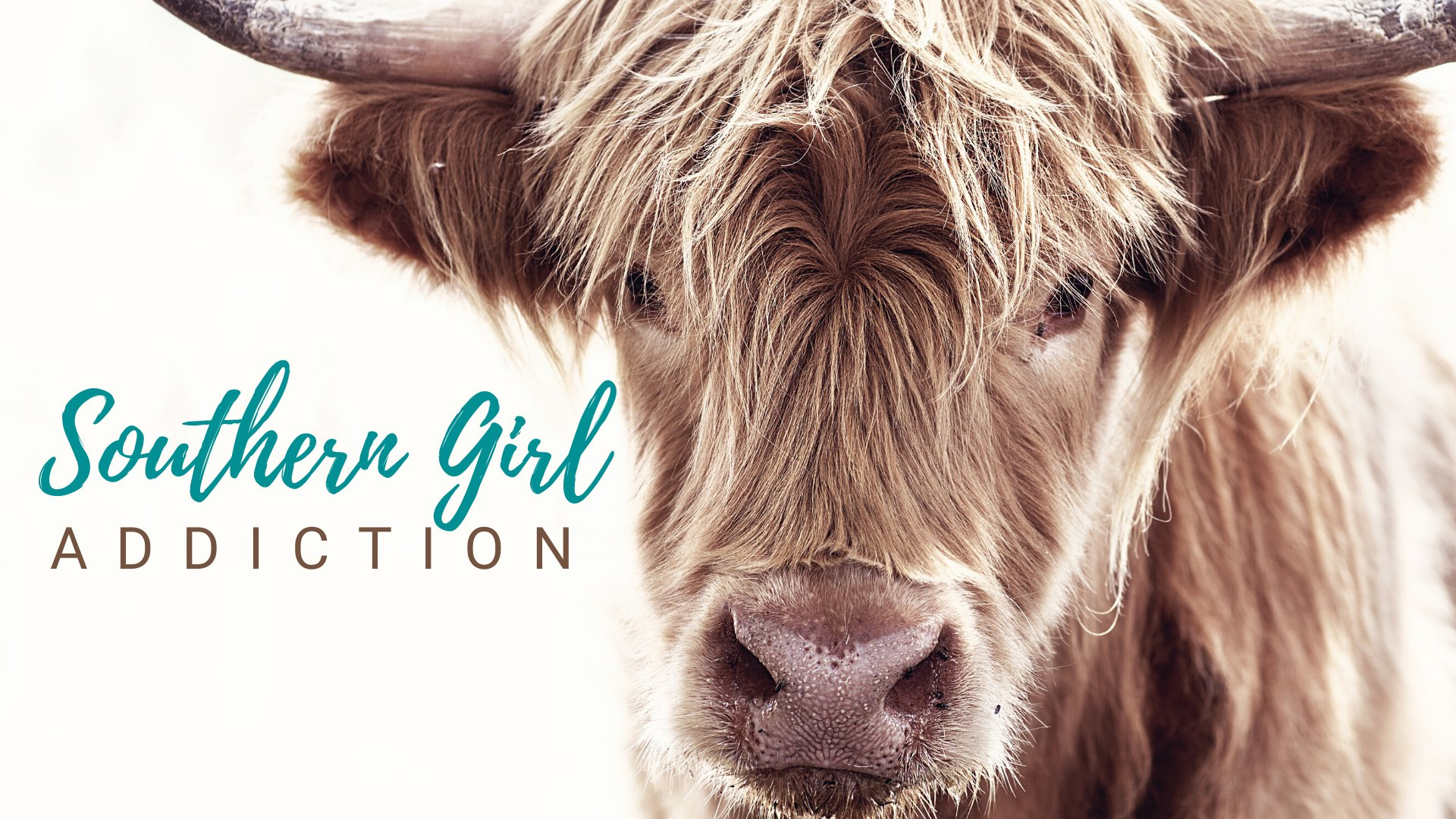 Southern Girl Addiction Affiliate Register